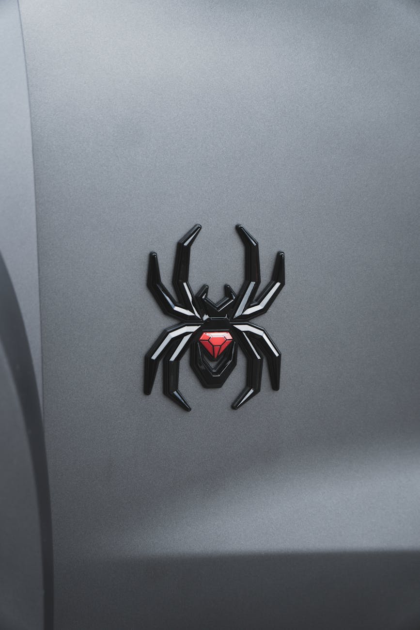 black widow spider emblem on gray car surface